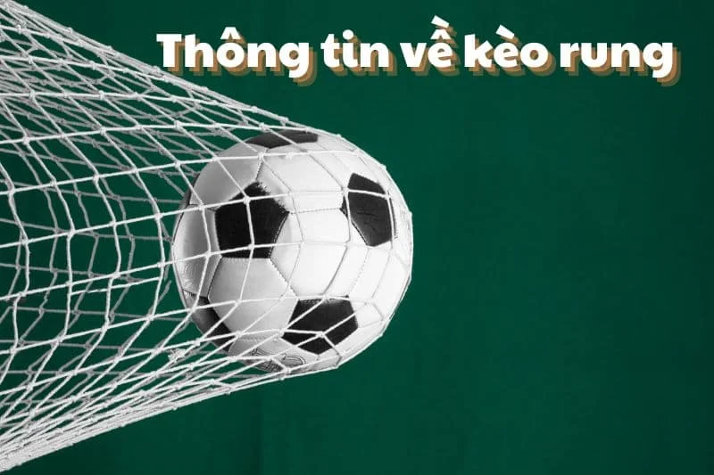 Những cách đặt kèo rung sao cho hiệu quả
