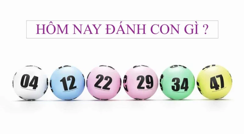 Những hiểu biết cơ bản về lô đề hôm nay đánh con gì