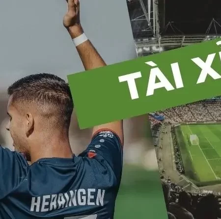 5 cách cược Tài Xỉu bóng đá phổ biến, tỷ lệ thắng lớn