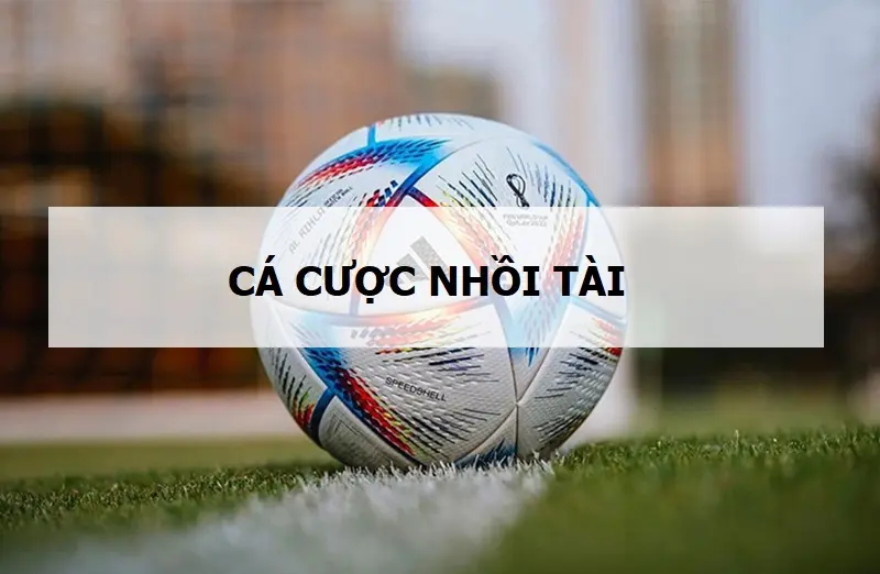 Cá cược nhồi tài